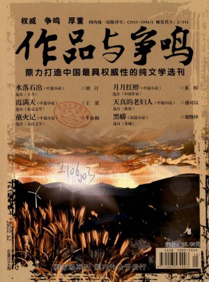 作品与争鸣